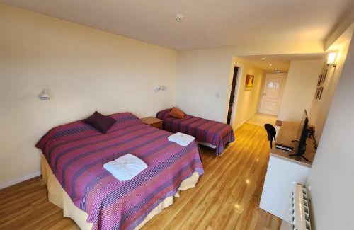 Province of Tierra del Fuego Apartment | Mirabeagle Departamentos