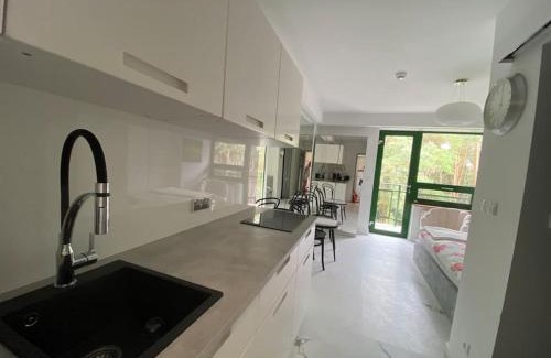 Serock Apartment | Mirror Apartment