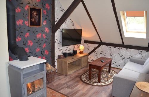 Stribro Apartment | Mlýn Isabellental - Isabellino údolí