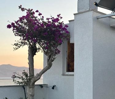 Kodrra Bed & Breakfast | MM Apartments