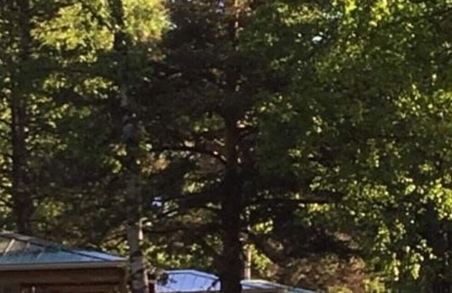 Saint-Martin-de-Queyrieres House | Mobilhome Esprit Montagne 4 to 6 people