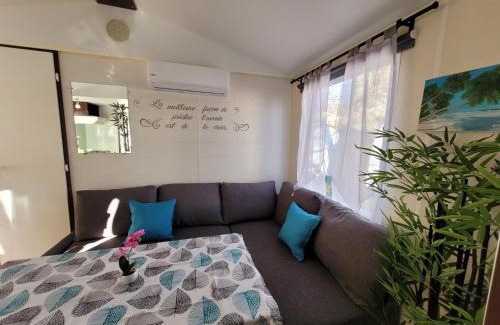 Parentis-en-Born Other | Mobil Home Plage Lac Parentis/Biscarosse