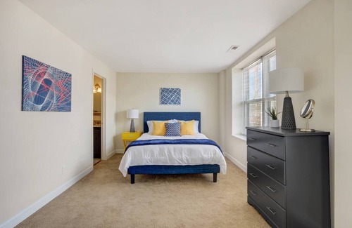 DeBaliviere Place Apartment | Mod Apartment next to Forest Park/BJC/WashU pets welcome