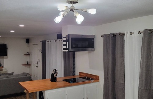 Fayetteville House | Modern 2 bedroom 1 bath home with barbeque grill and sauna pool.