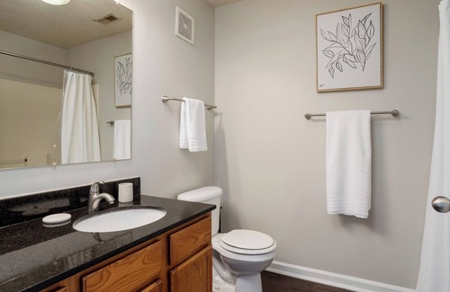 Indianapolis Apartment | Modern Apartment in Prime Location (ID7728X31)