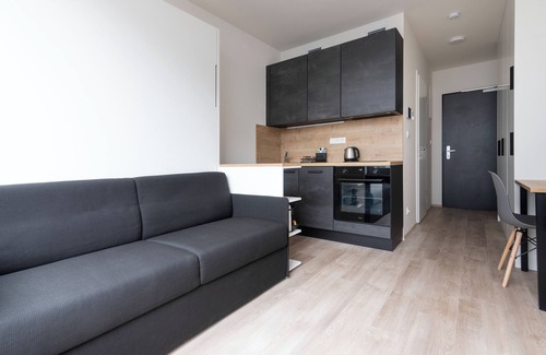 Smichov Apartment | Modern Central Studio 1Gbps WiFi SMART TV 𝗔/𝗖