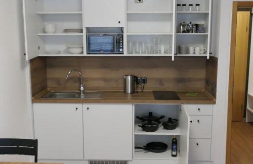 Bayerisch Eisenstein Apartment | Modern flat near Großer Arber