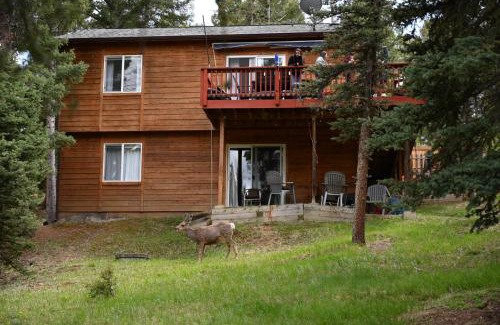 Florissant House | Modern Mountain Cabin, Fireplace, Deck with Deer Views, Near Wolf Center