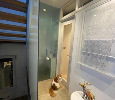 Holland Park Apartment | Modern self-contained Ground and Basement studios