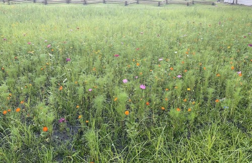 Rocky Point Cabin | Modern Shipping Container Cabin