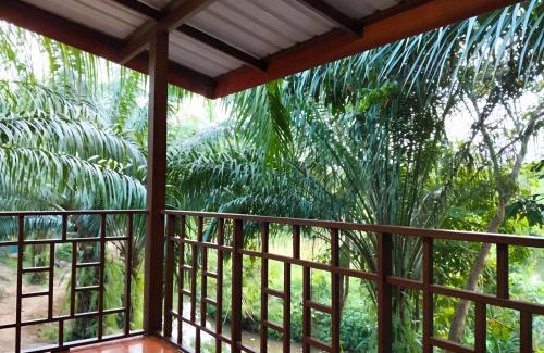 Phanom House | Modern Tor Tao camp