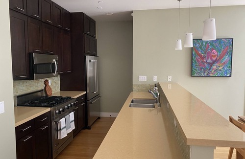 Healdsburg House | Modern Townhome - walking distance to Healdsburg Plaza