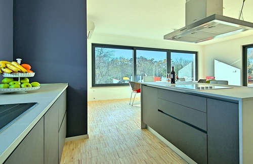 Belavici Villa | Modern villa with large pool in a quiet place in Istria