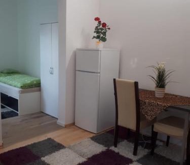 Bietigheim-Bissingen Apartment | Modernes Businessapartement
