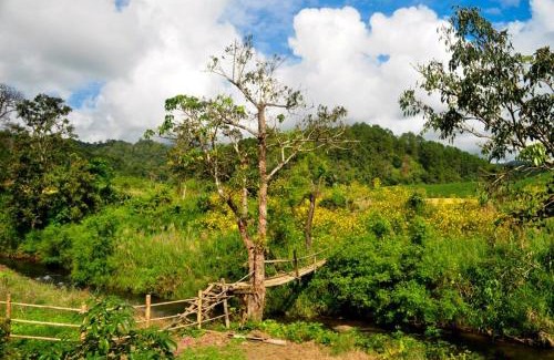 Huai Makhuea Som House | Mong Homestay Resort