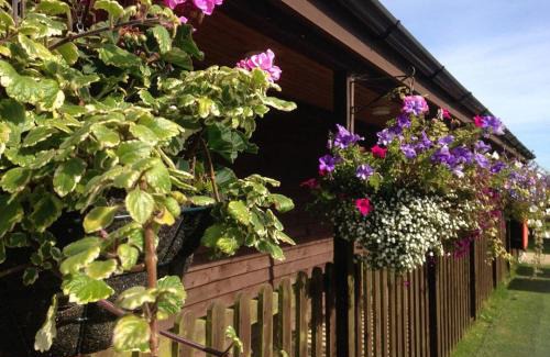 Newquay Resort | Monkey Tree Holiday Park