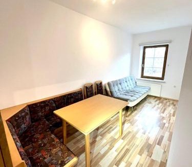 Leoben Apartment | Monteurwohung Leoben, Uni, LCS