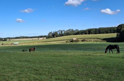 Nettelsee Apartment | Monteurwohung Nettelsee