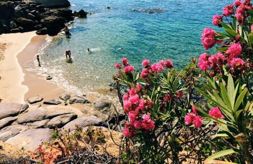 Portoscuso House | Moon's Tower suite&rooms