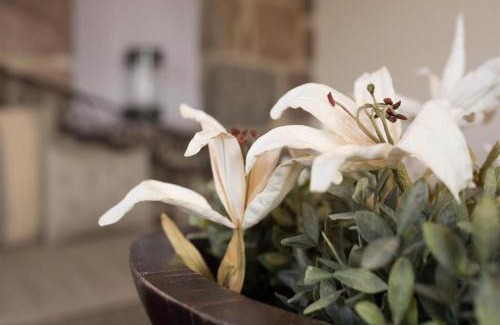 Mithimna Apartment | Moongarden