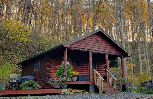 Sylva Cabin | Moonlight Ridge - a wonderful little log cabin on 4 wooded acres
