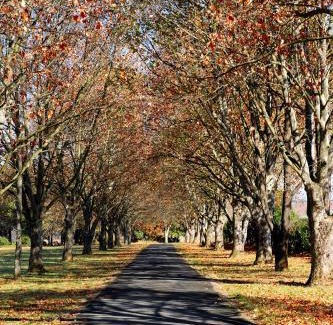 Himeville House | Moorcroft Manor Boutique Country Hotel