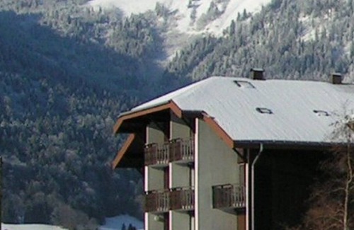 Montriond Apartment | Morzine - Avoriaz (Montriond) : Well-located 2-room apartment for 4 people