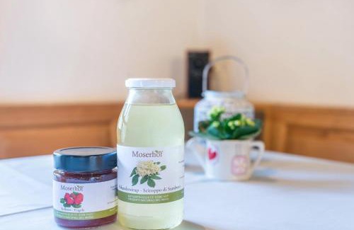 Sarntal Apartment | Moserhof Ferienwohnung Schartblick