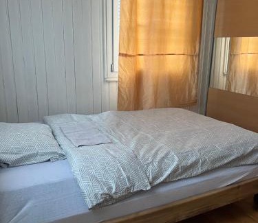 Basadingen-Schlattingen House | Motel Schwanen