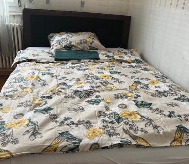 Basadingen-Schlattingen House | Motel Schwanen