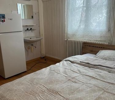 Basadingen-Schlattingen House | Motel Schwanen