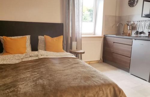 Bytom Apartment | Motyl Apartamenty Studio lub pokój z łazienką