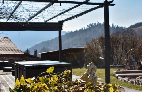 Saint-Maurice-sur-Moselle Other | mountain farm with spa, quiet sunny, with exceptional views