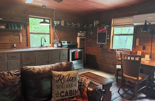 Kingston Cabin | Mountain adventure cabin w/stunning views in the Ozarks.