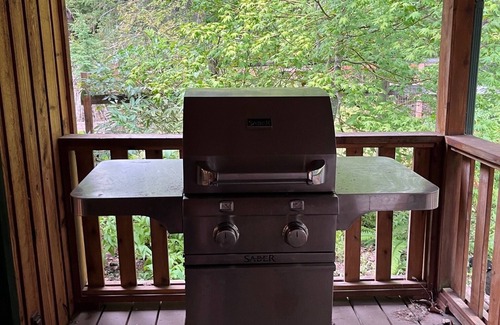 Enumclaw House | Mountain cabin - fun in all seasons!