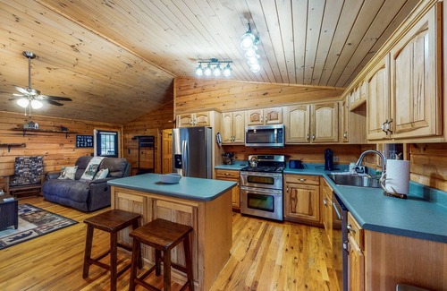 Rabun Gap Cabin | mountain cabin with deck, sunroom, grill, fireplace, arcade, & wifi - dogs ok