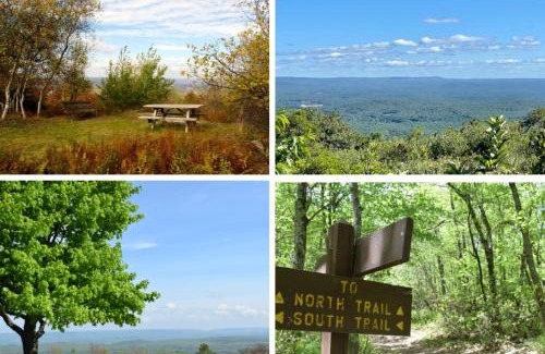 Tannersville House | Mountain Chalet Ski, Hike, & Explore