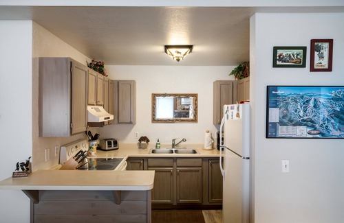 Steamboat Springs Condo | Mountain Comfort at The Pines – Walkable, Central and Scenic!