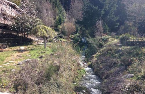 Queenstown House | Mountain Creek Vacation