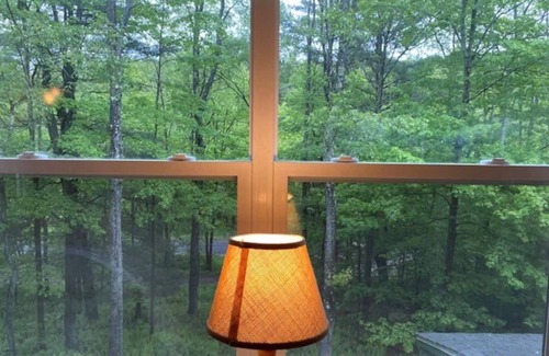 Walton House | Mountain Forest Retreat w Cedar Hot Tub - Western Catskills