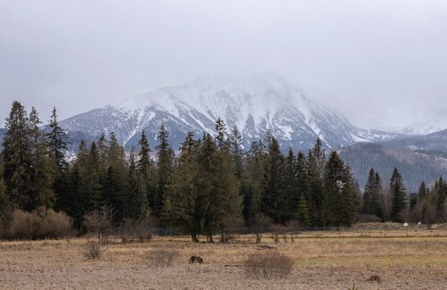 Poronin House | Mountain Honeydew Cottage | 3 rooms, balcony, pet-friendly