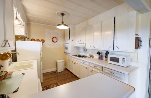 Valley Head Cottage | Mountain & Sunset VIEWS! Walk to Downtown Mentone