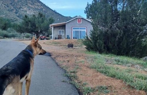 Bodfish House | Mountain top Barn retreat with view