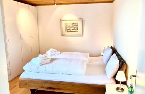 Andermatt Apartment | Mountain View