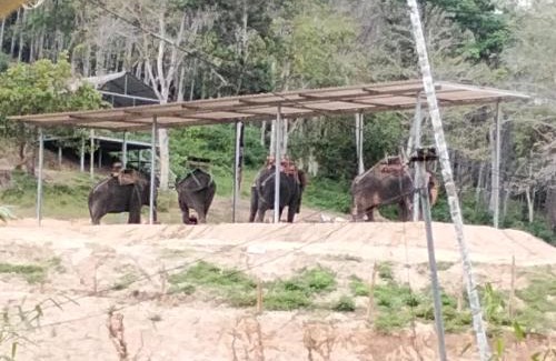 Ban Sakhu Villa | Mountain View Resort