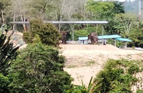 Ban Sakhu Villa | Mountain View Resort