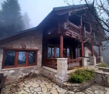 Kato Pedina Ski Chalet | Mouses Chalet Lydia Επτάλοφος Παρνασσού