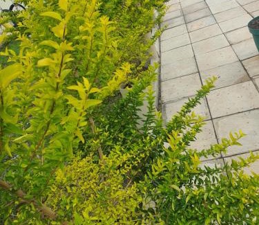 Umkhanyakude District Municipality Apartment | Mpucuko Guest House