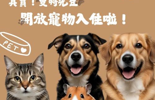 Central District Hotel | Mr.Mantter