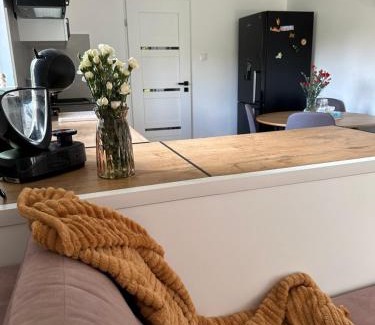 Sokolec Apartment | Mr. Sowa Sokolec